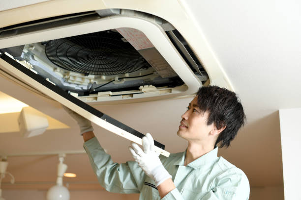 Best Local Air Duct Cleaning Services  in Homestead, PA